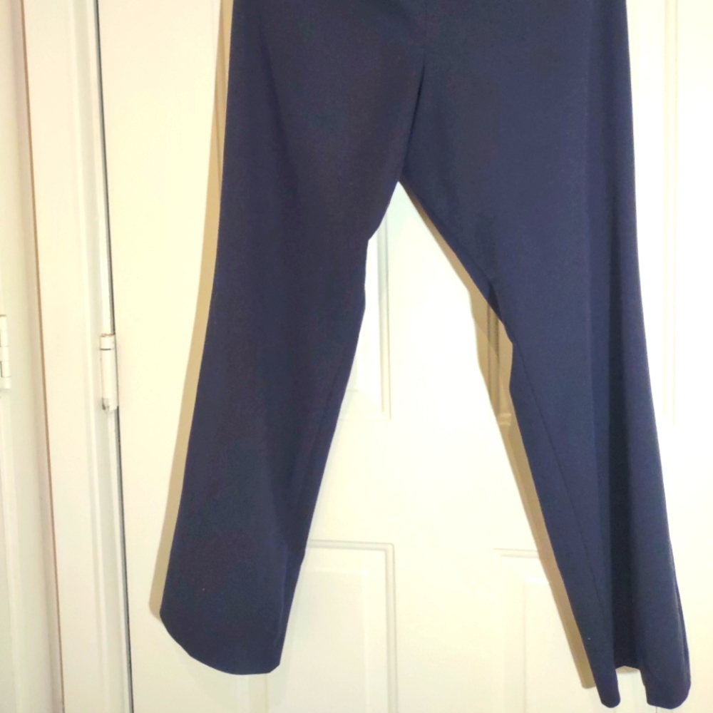 Size 14 Worthington pants